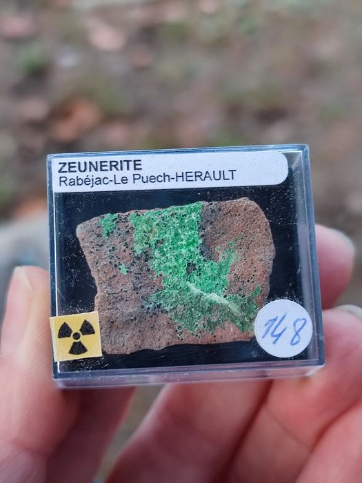 Minerał do kolekcji uranowe zeunerit