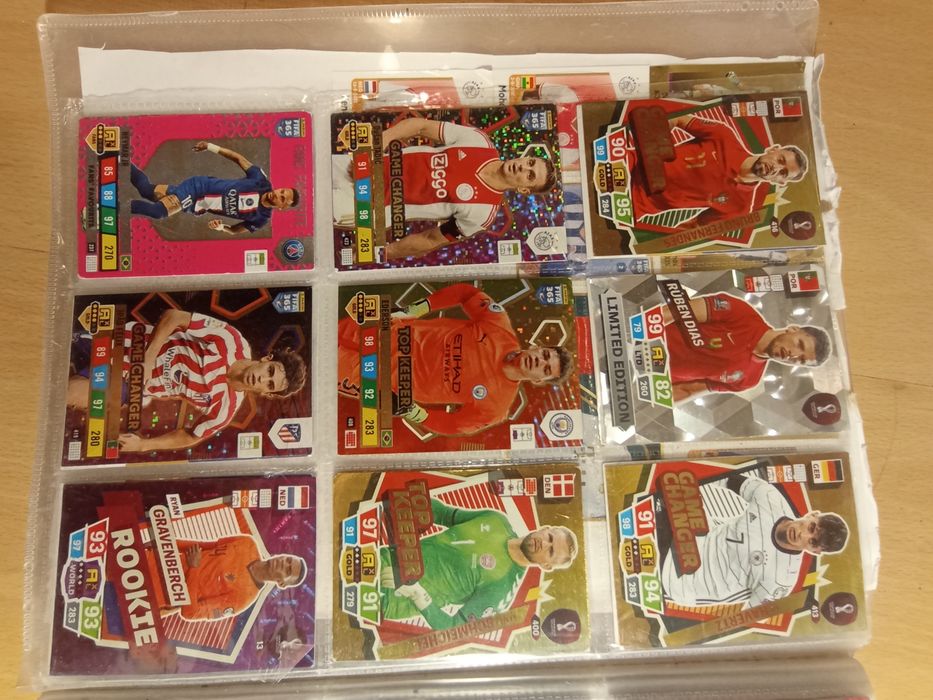 Karty piłkarskie panini