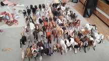 Schleich, Collecta modele