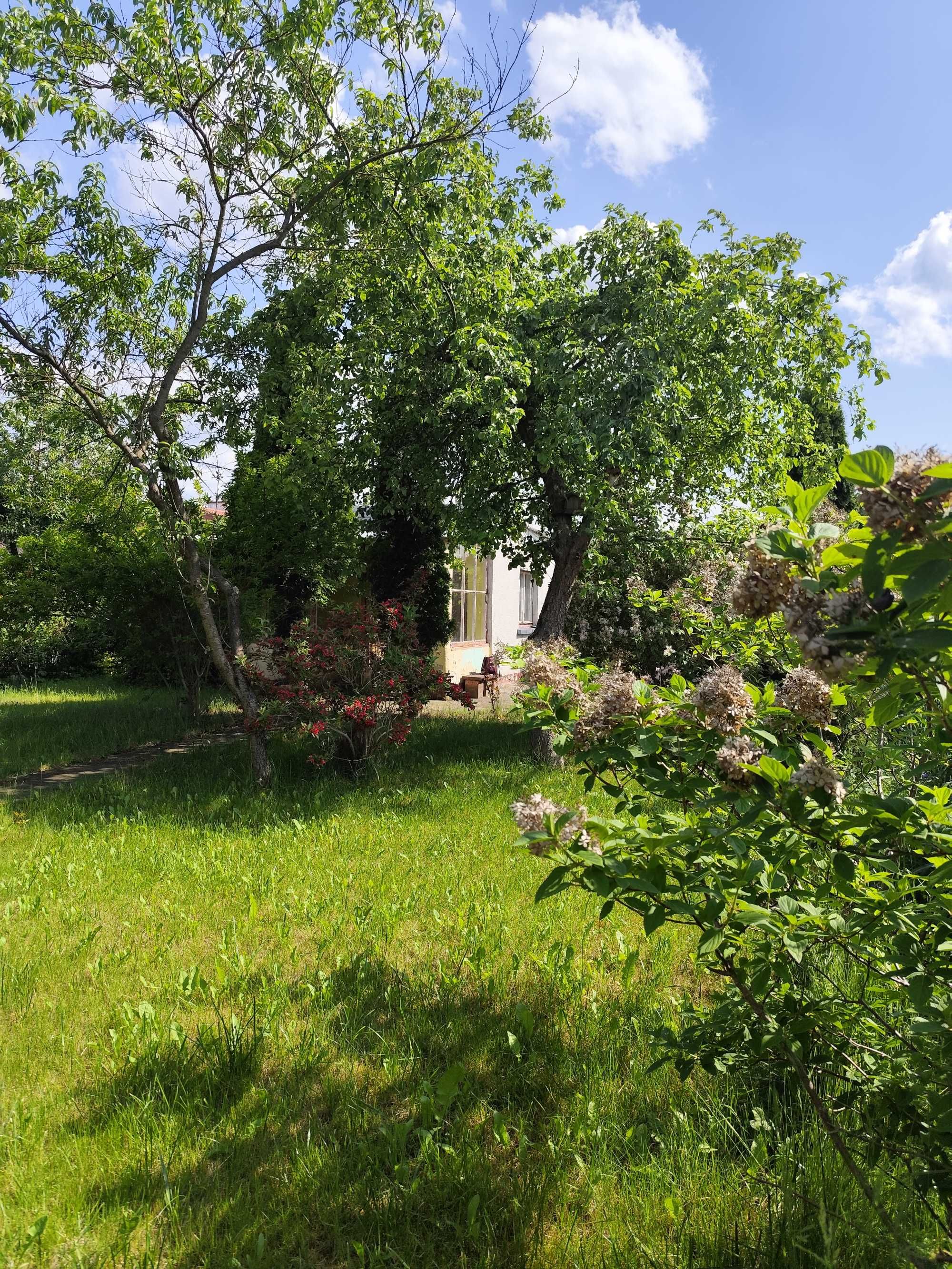 Działka ROD w Centrum Bydgoszczy Cena 55 tys