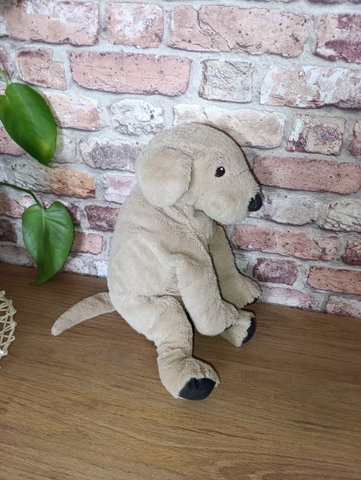 GOSIG GOLDEN Ikea labrador pies Ikea mały 40 cm przyjaciel do tulenia