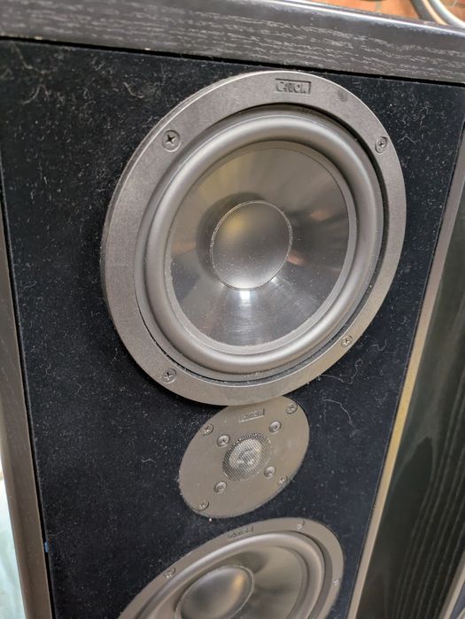 Акустика колонки Canton ergo 100DC