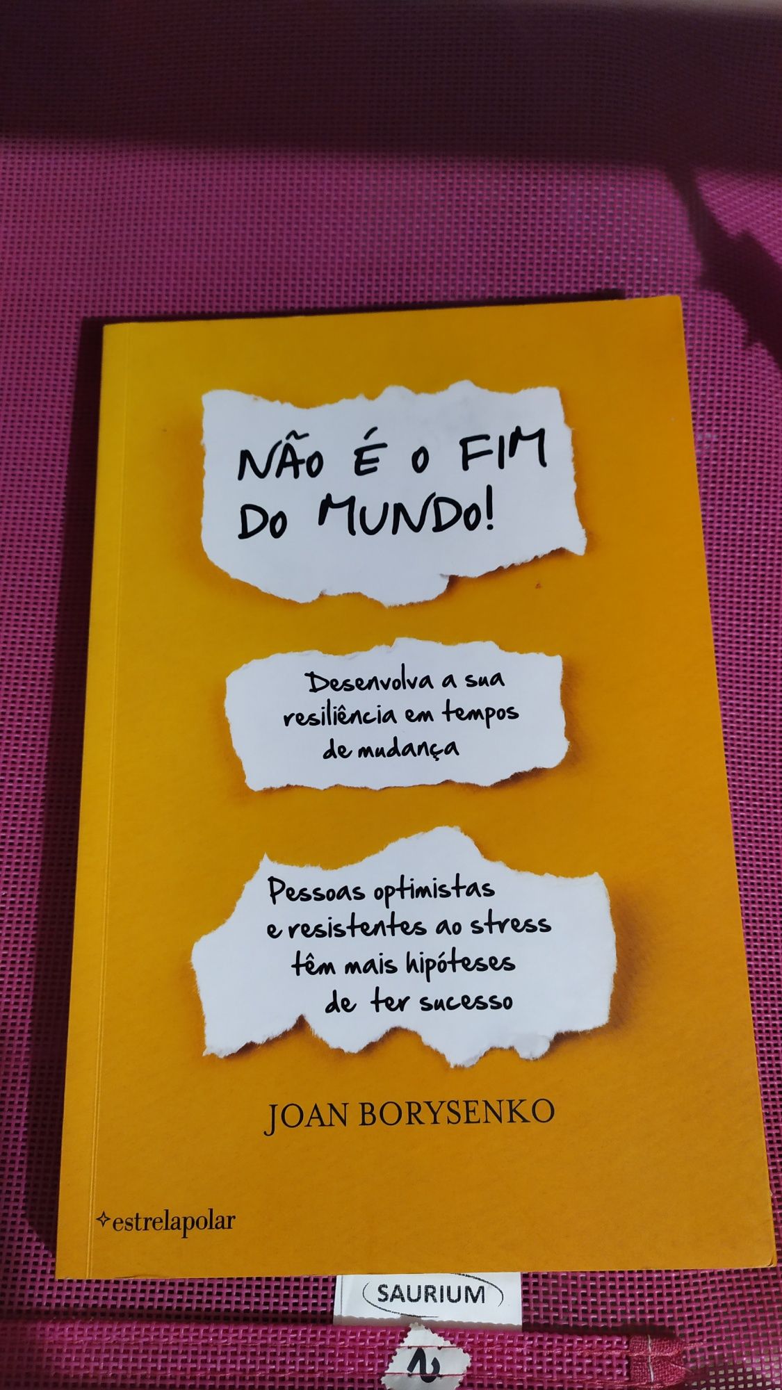 Não é o fim do mundo - Joan Borysenko
