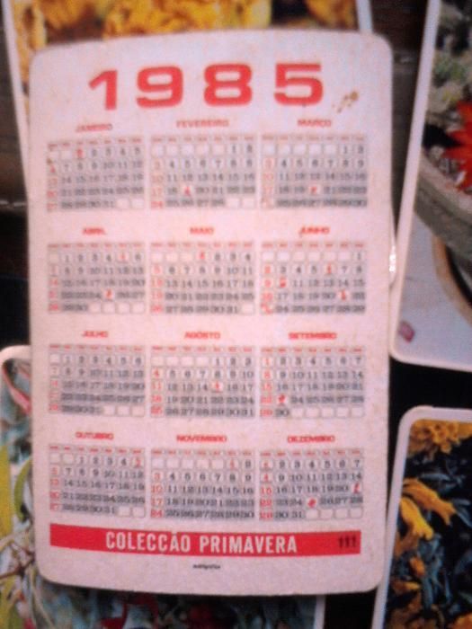 Coleção calendarios primavera, 1985