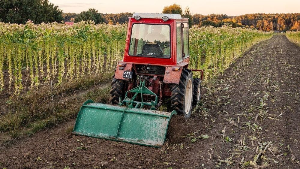 Uprawa dziełek glebogryzarka