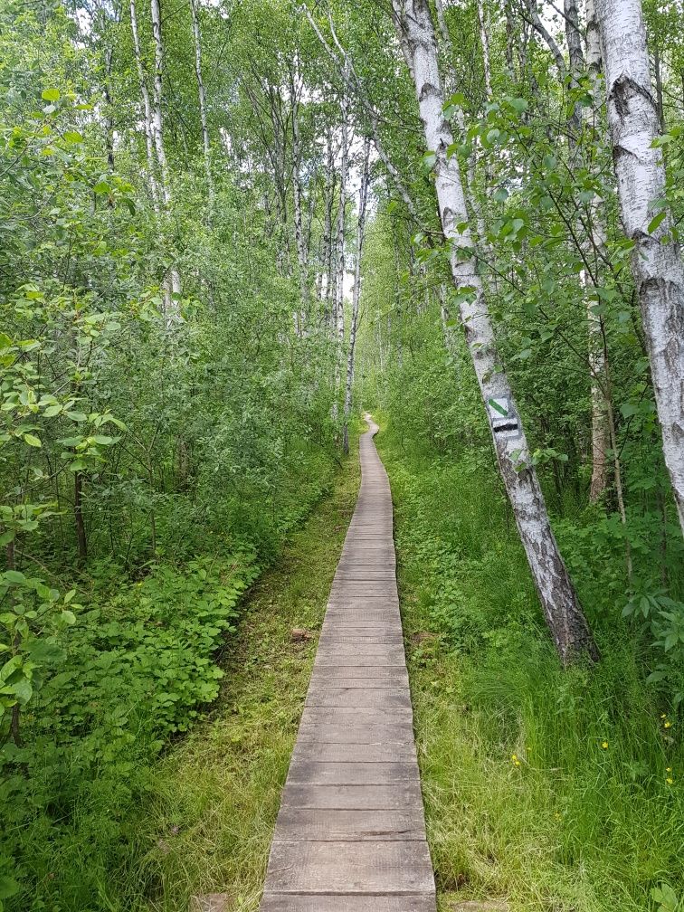 Domek letniskowy nad jeziorem Wytyckim