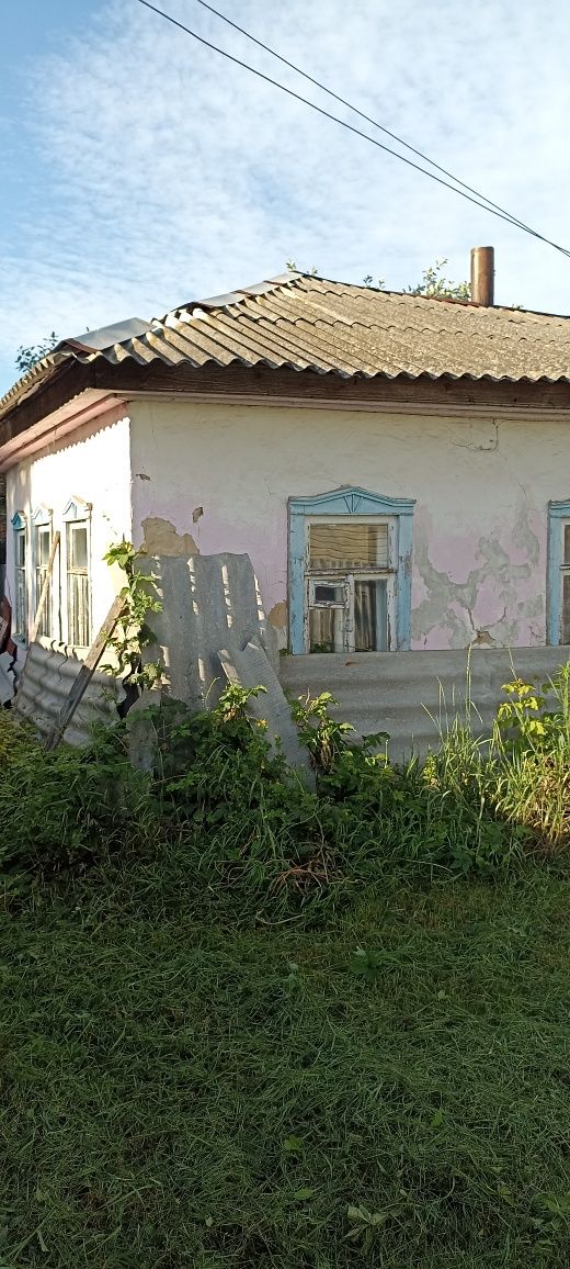 будинок, ділянка, лука вул. Линтварьових