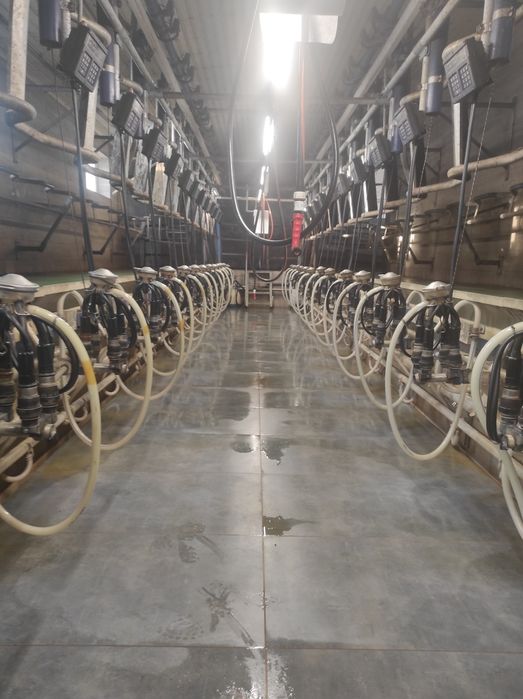 Hala Udojowa Delaval 2x14