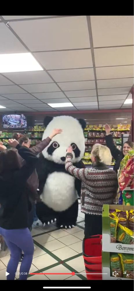 Надувні Костюми Анімації  Панди. Мікімаус. Білий Мішка, медвідь