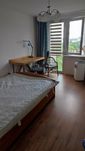 Mieszkanie 2 pokojowe Piastów Rzeszów wynajem