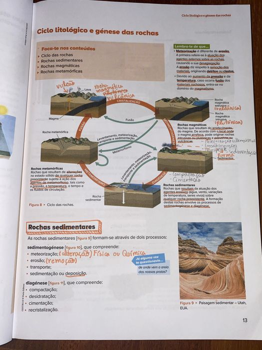 Manual “Guia de Estudo 10 Ano” Biologia e Geologia