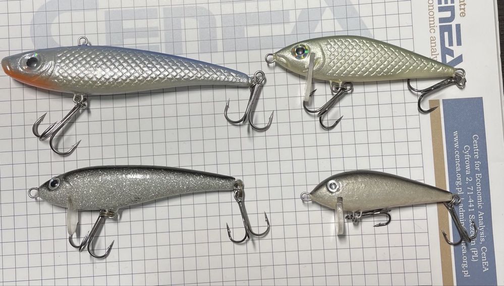 Rapala X-Rap Magnum, FMAG, nie Salmo, Przynęty spinningowy, woblery