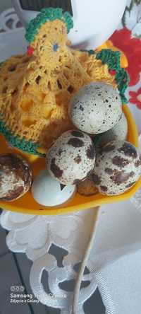 Przepiorki jajka kolorowe