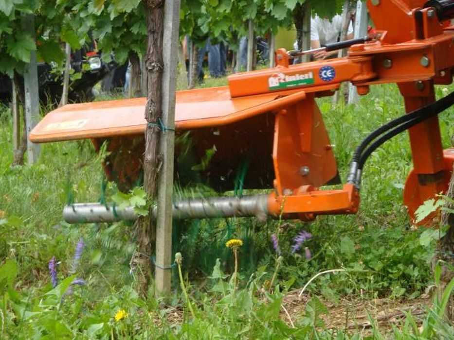 Przystawka do wycinania odrostów do mulczerów RINIERI SRV