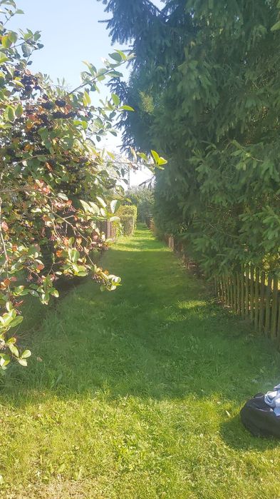 Ogródek rekreacyjny