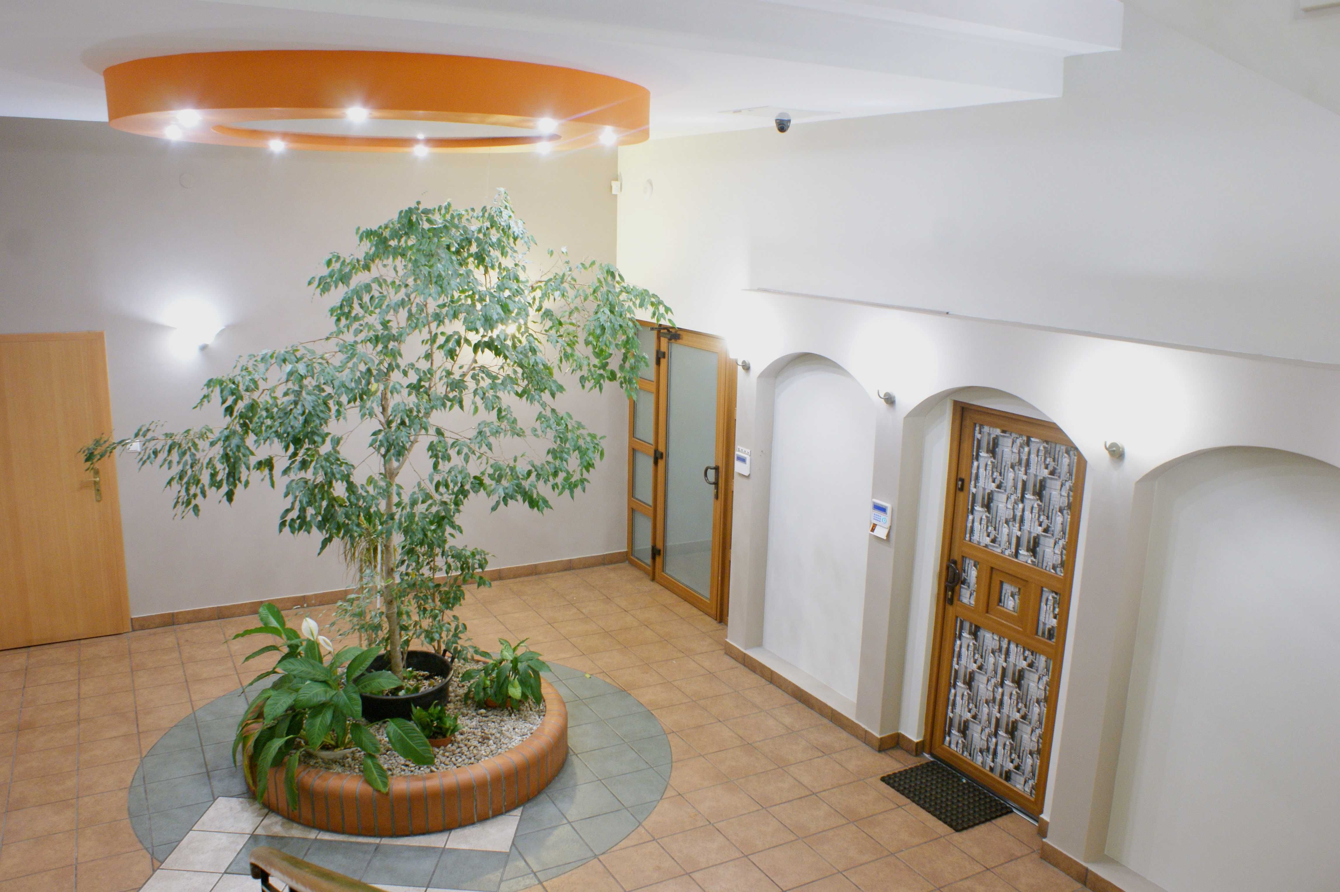 Przytulny Hostel w Dąbrowie Górniczej Oferuje Miejsca dla Dużych Grup