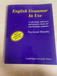 English Grammar in Use