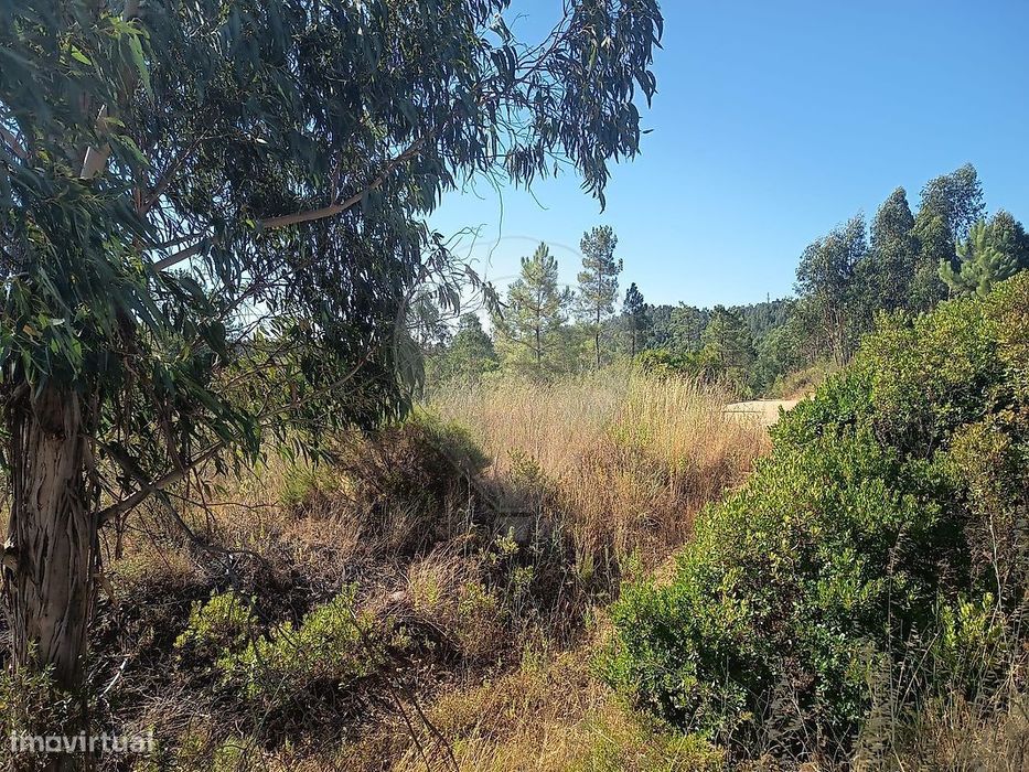 Terreno  para venda