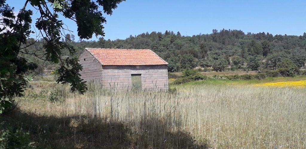 Quinta 14,5 hectares