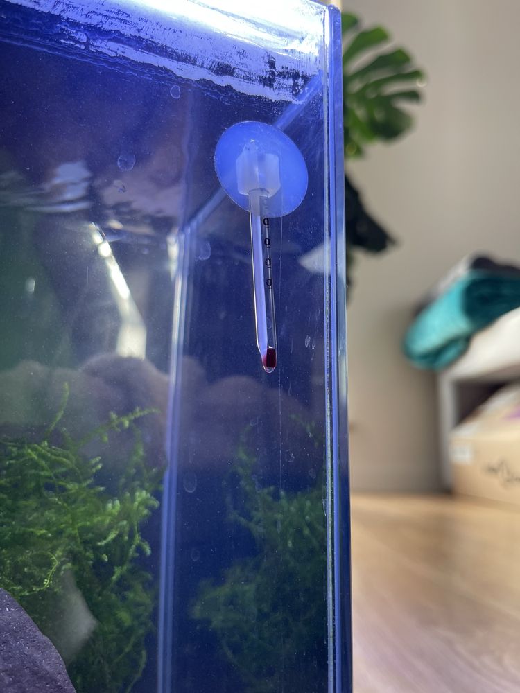 Akwarium / krewetkarium 10L AquaEl