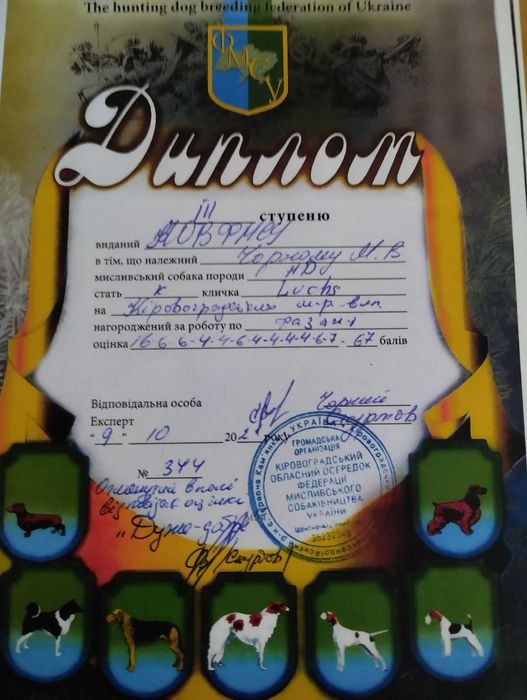 Елітний Дракхар для в'язки