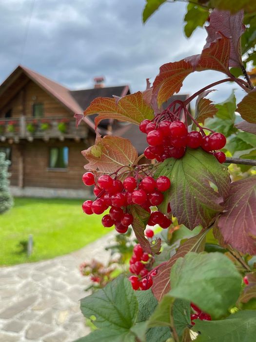 Котедж " Затишний відпочинок " в м.Яремче на 8-10 чоловік. Подобово