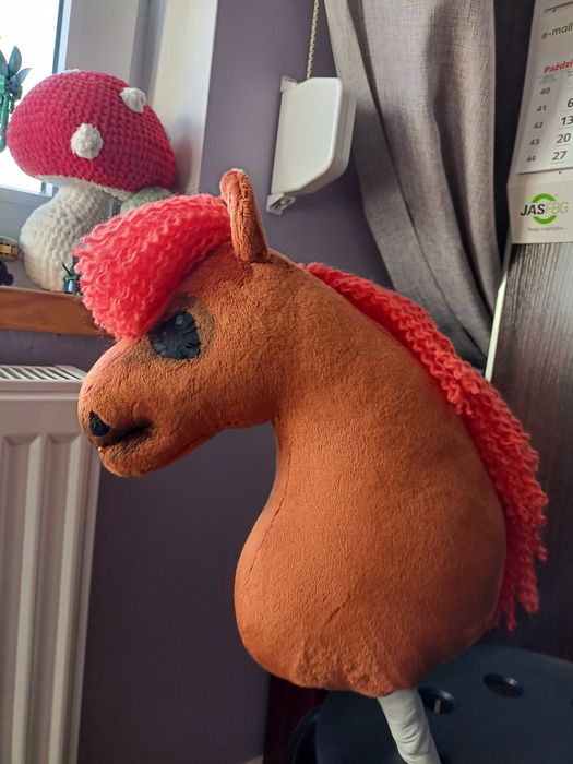 Hobby horse Rdn kasztanowaty