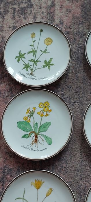 Rosenthal " Z miłości do natury" 12 talerzy