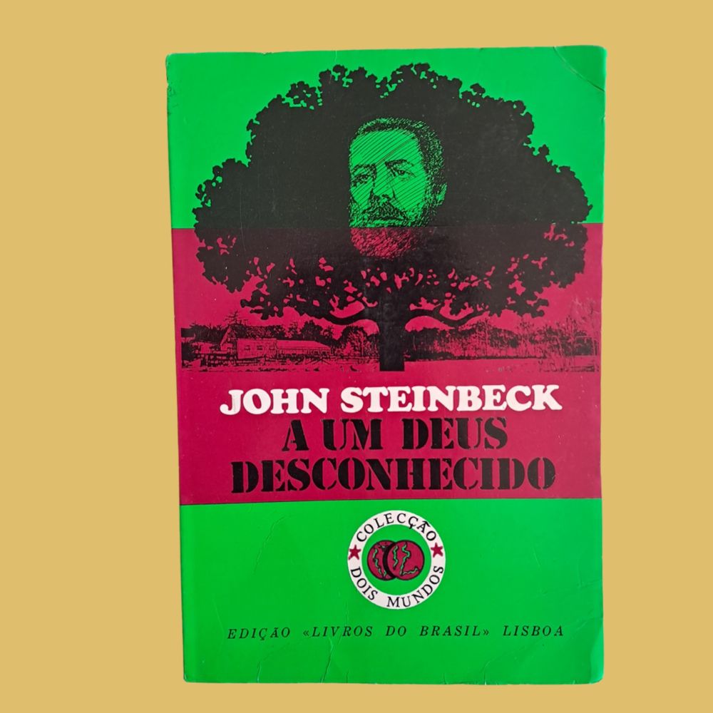 A um Deus Desconhecido - John Steinebeck