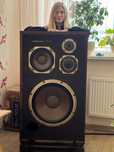 Акустика Diatone DS-5000