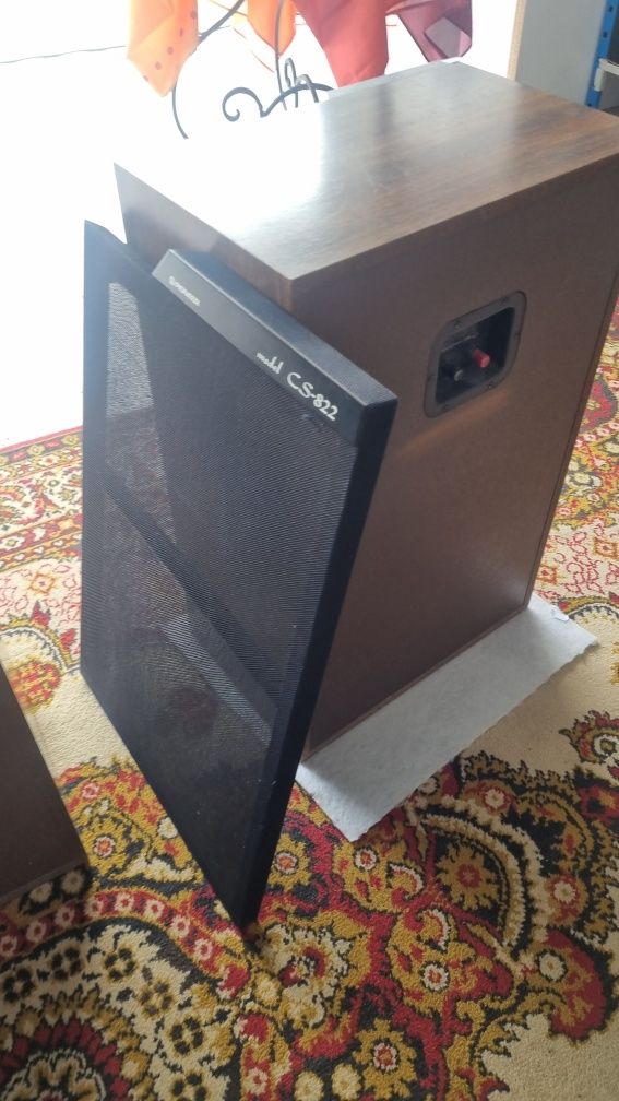 Kolumny Pioneer  CS'822
