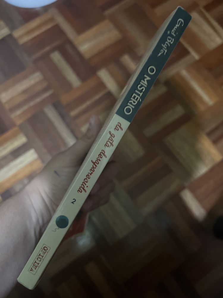 Livro O Mistério da Gata Desaparecida
