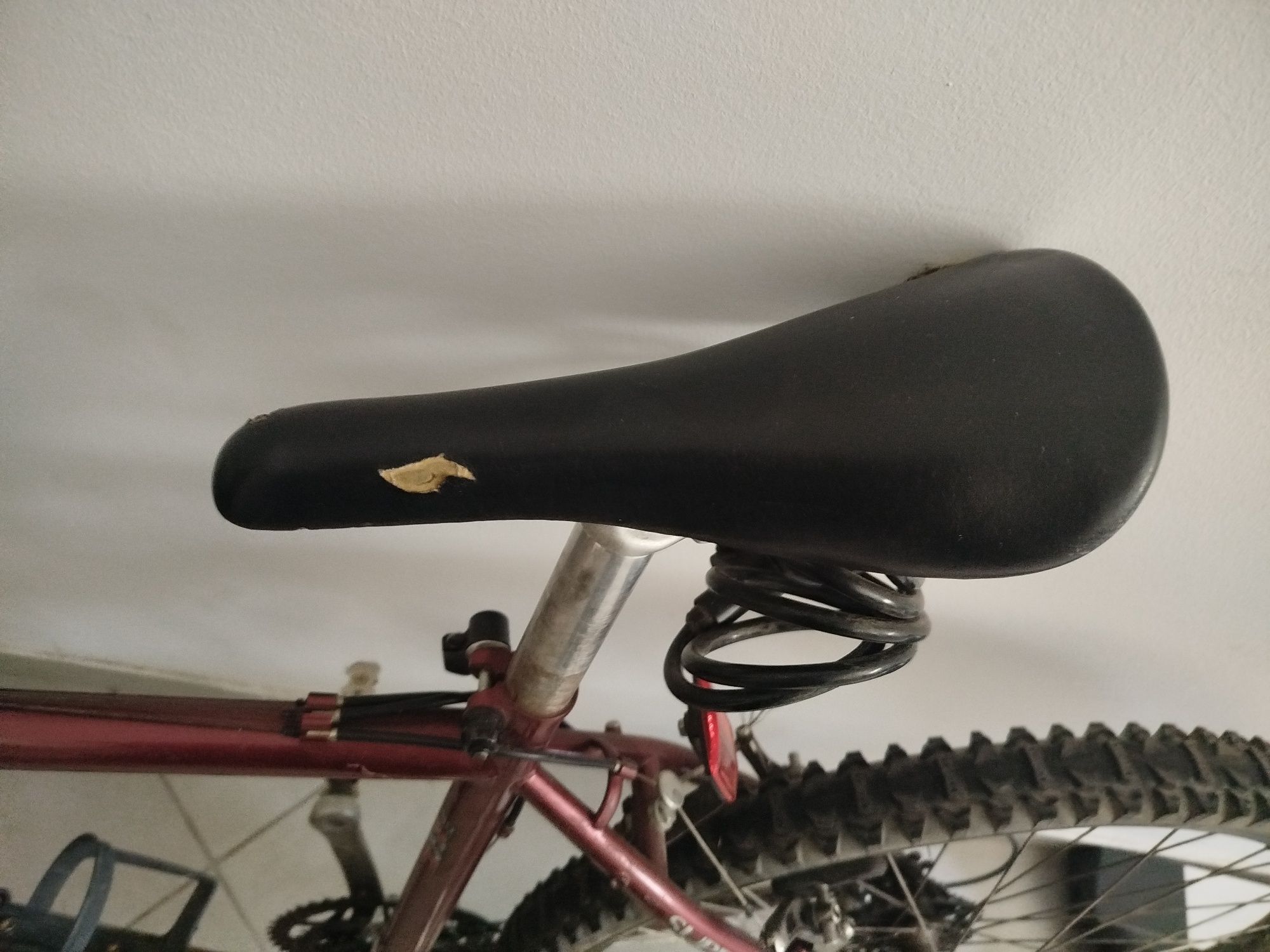 Bicicleta adulto