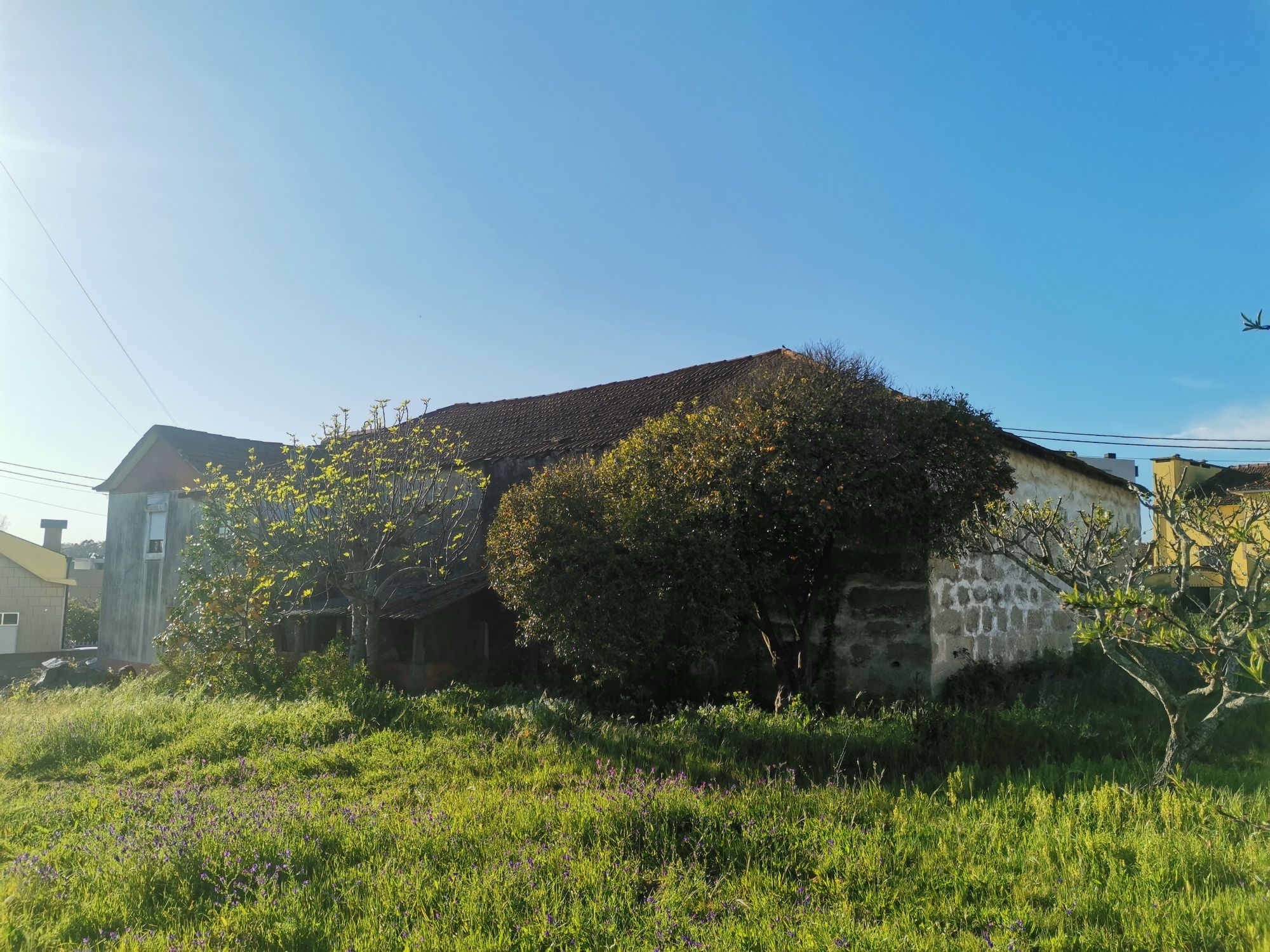 São Romao do Coronado, trofa