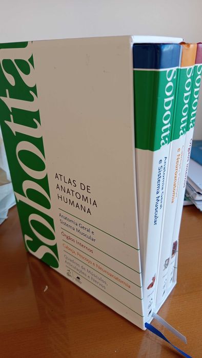 Sobotta -Atlas Anatomia Humana