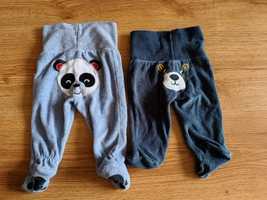 Spodnie spodenki welurowe niemowlęce 56 miś panda