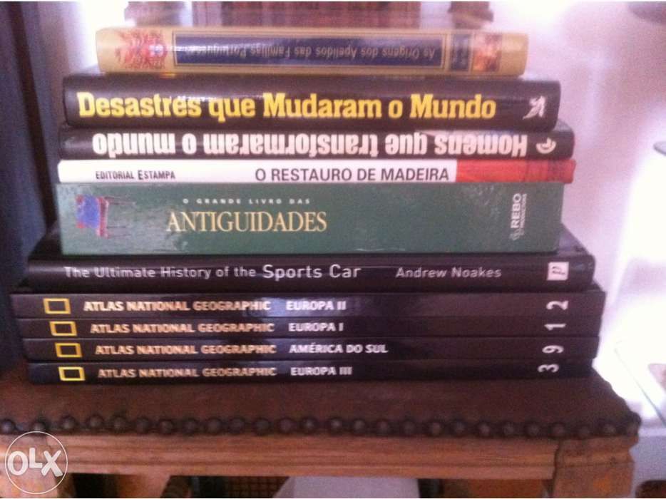 Lote de livros