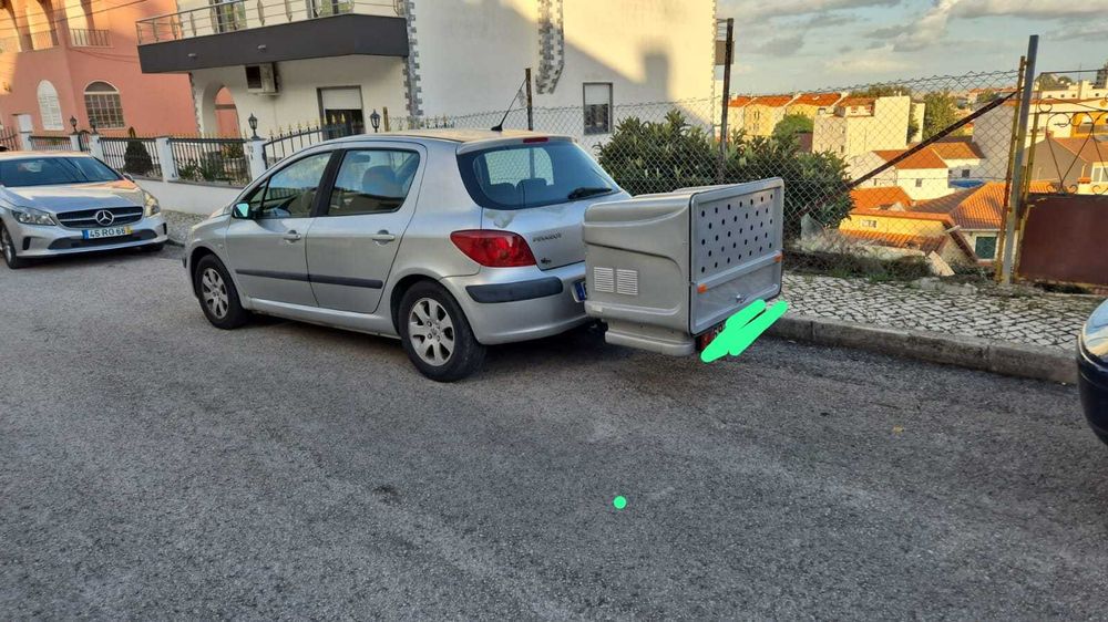 Transportadora cães
