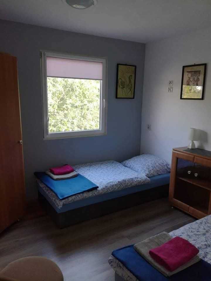 Domek na wynajem