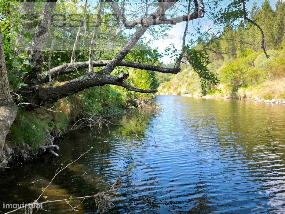 Terreno a confinar com a Ribeira do Sesmo