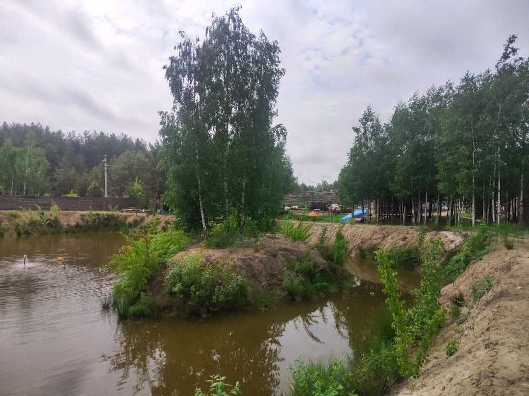 Дачна ділянка пів гектара з власним озером в оточенні ліса