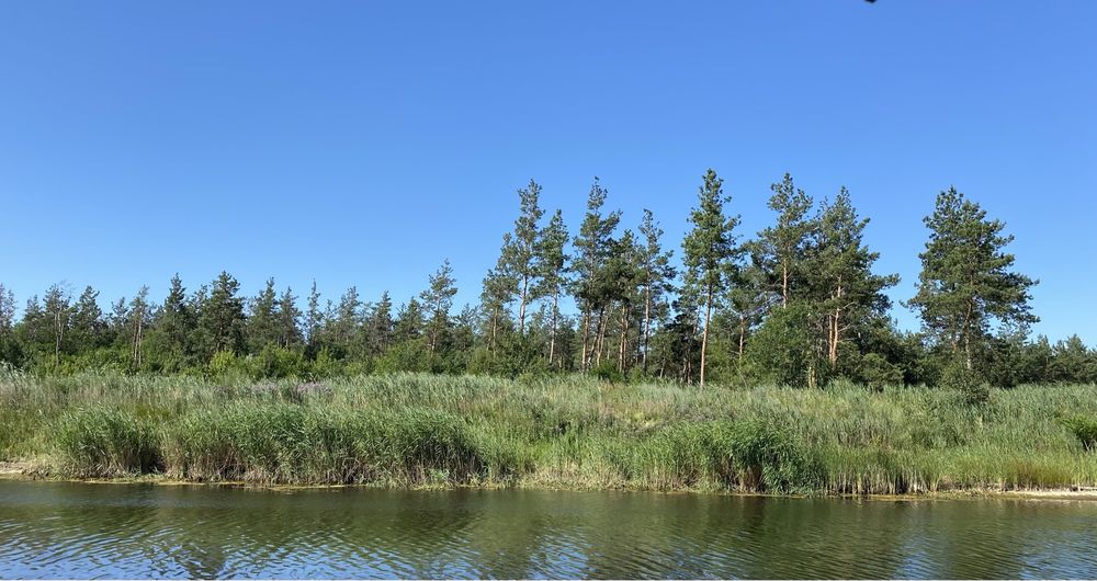 Продажа будинку в с. Орлівщина