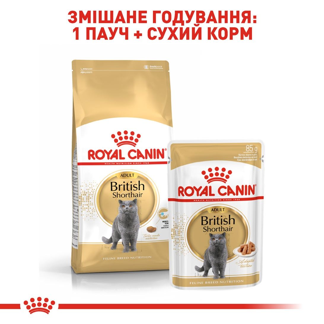 Сухий корм Royal Canin British Shorthair, Роял Канін для британців 2кг