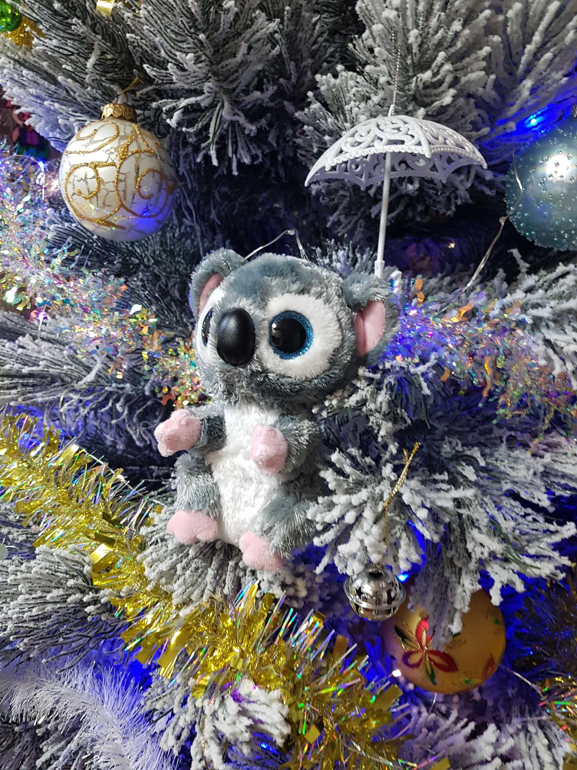 TY Beanie Boos глазастик коала Katy Koala 15 см