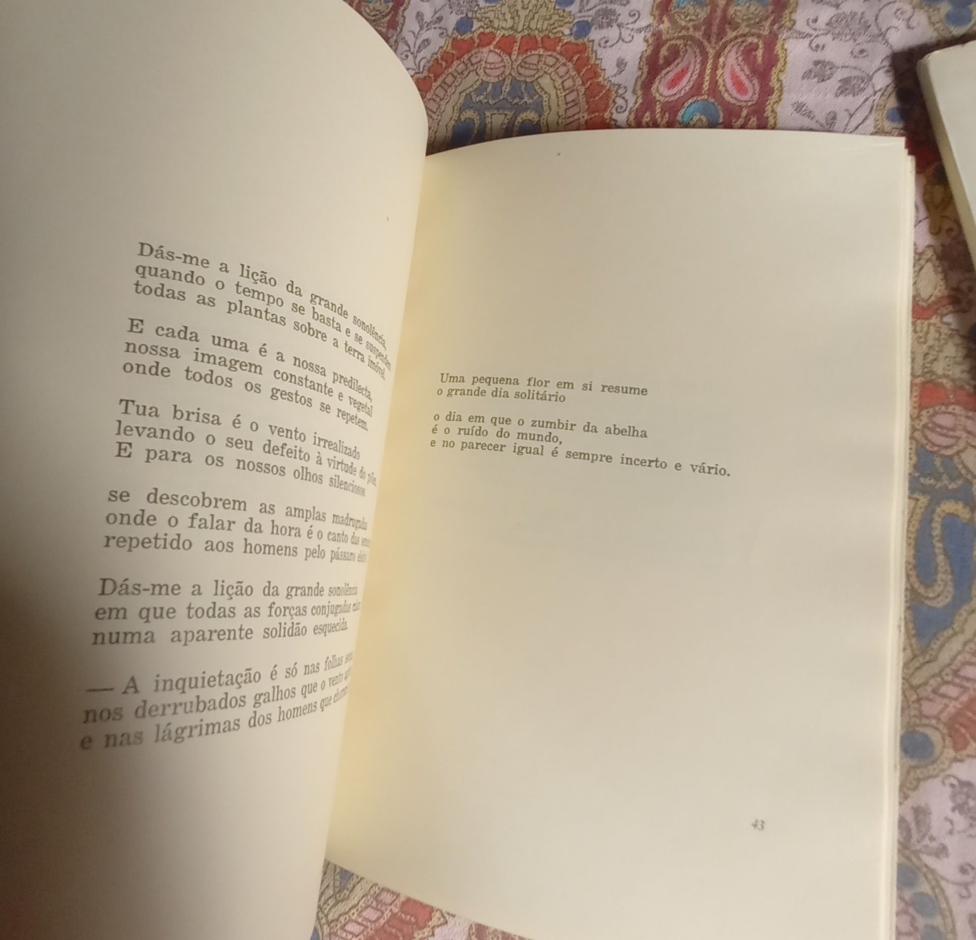 Maria Alberta Menéres poesia primeiras edições