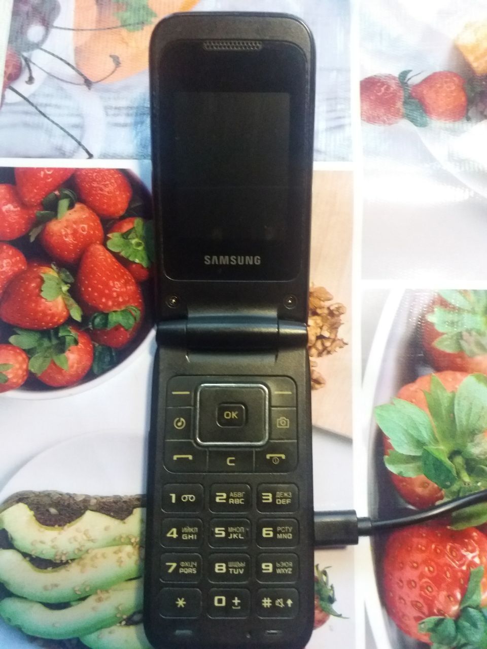 Телефон расклвдушка samsung gt  E-2530