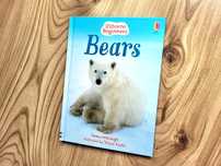 Bears Usborne Beginners książka o niedźwiedziach po angielsku