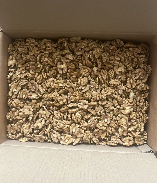 Грецкие  орехи  ( бабочки   ) урожай  2025