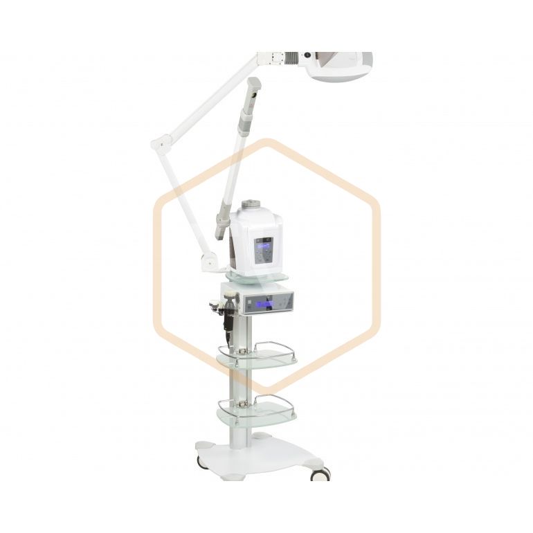 Vapor facial de luxo +carrinho +pincel Ewwk-F300E