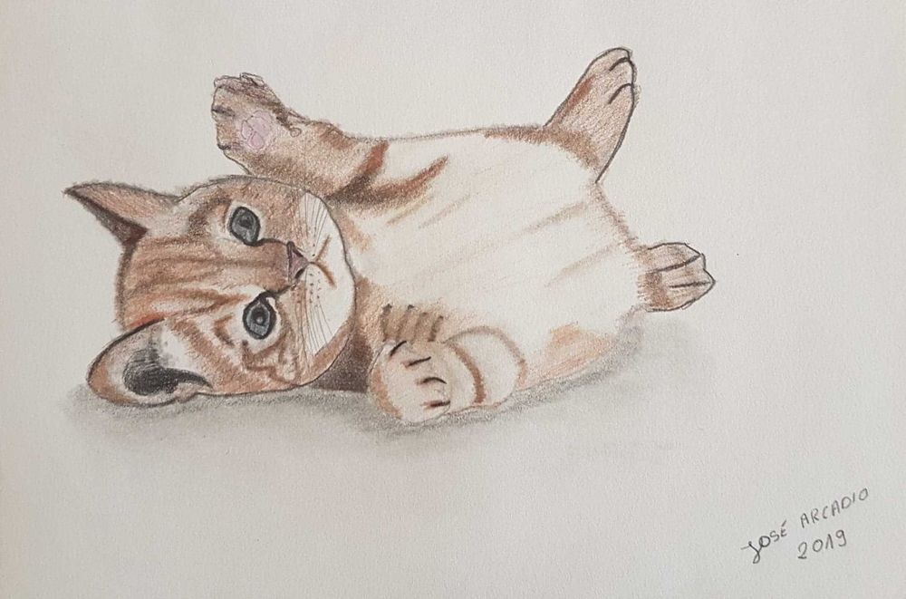 Rysunek kotek format A4